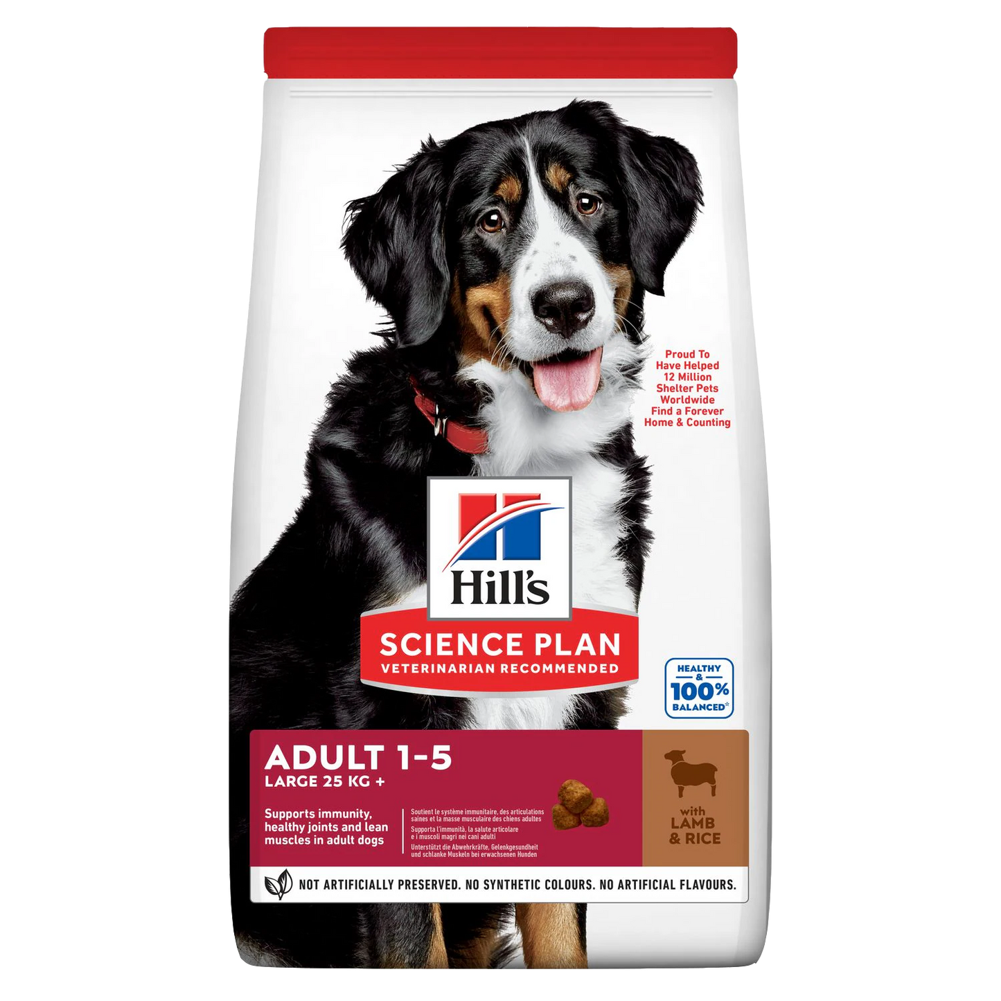Hill's Science Plan Large Breed Adult Dog Food