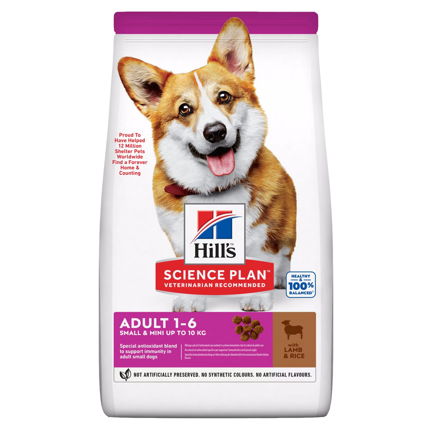 Hill's Science Plan Small & Mini Adult Dog Food