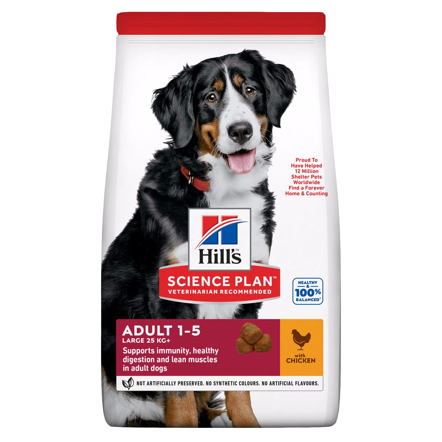 Large Breed Adult Dog Food Hill's Science Plan 