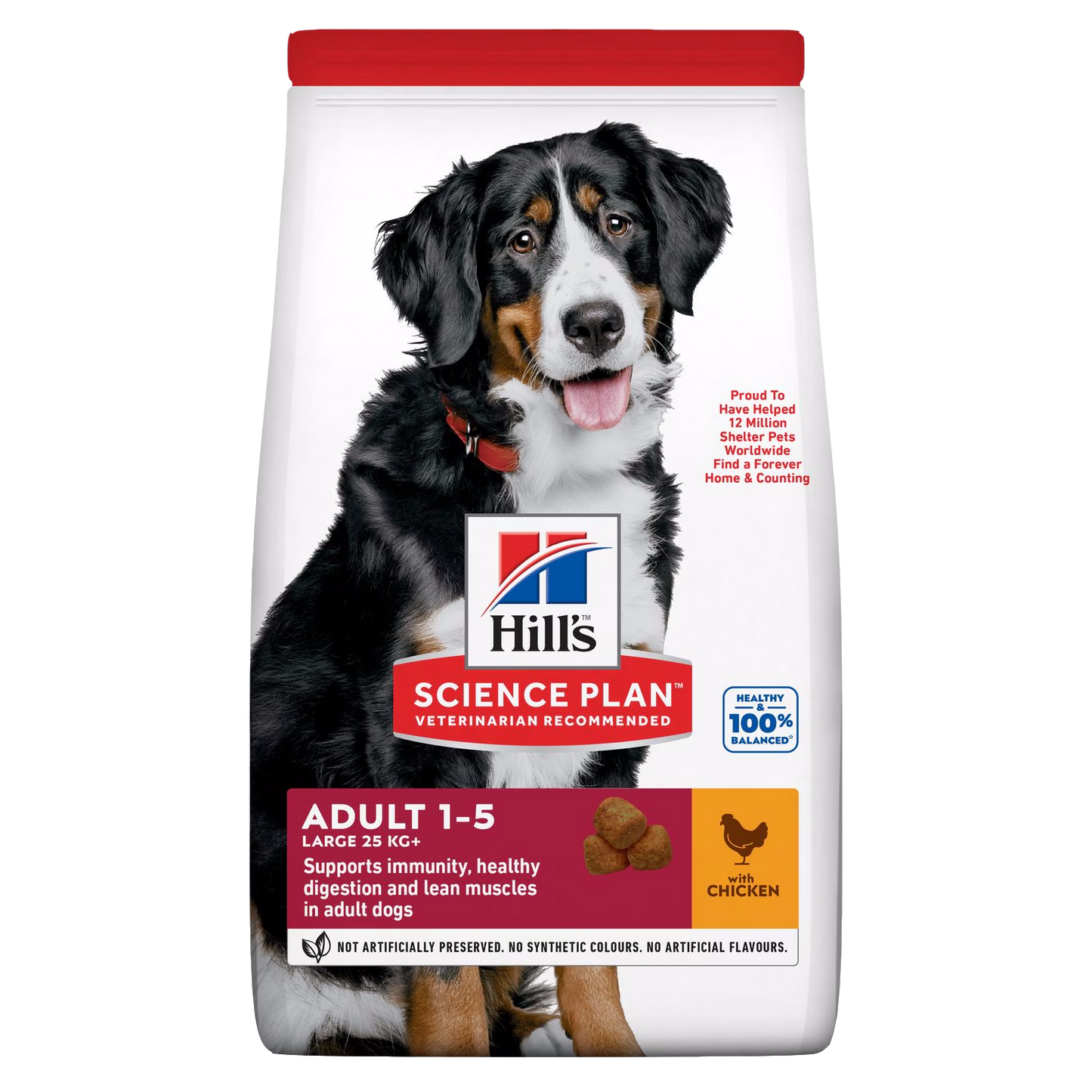 Hill's Science Plan Large Breed Adult Dog Food