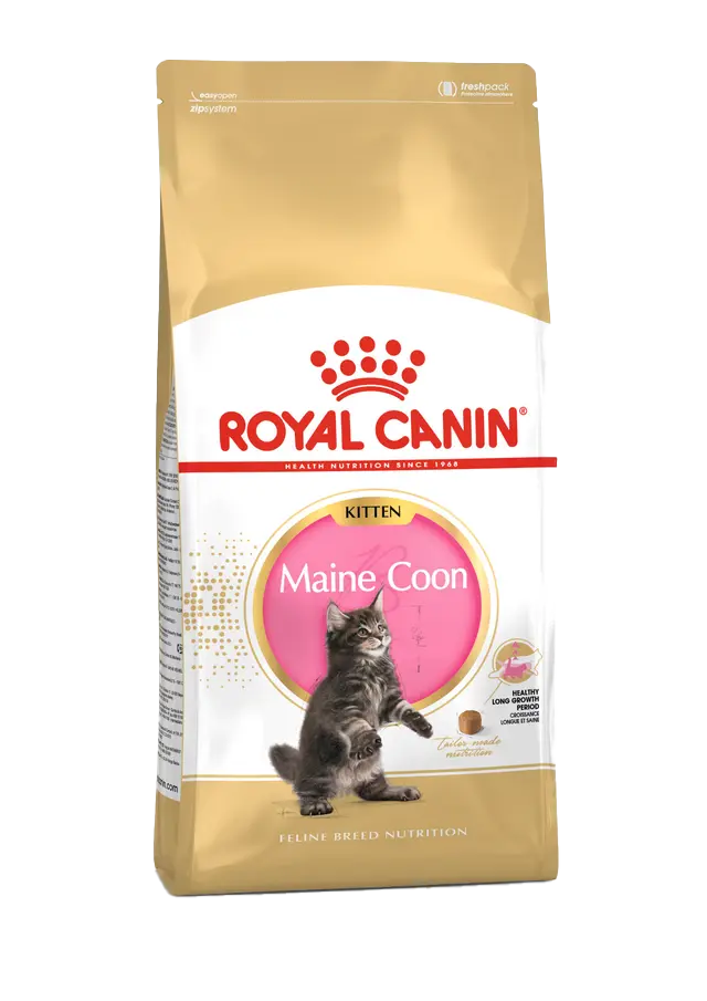 Royal Canin Maine Coon Kitten Cat Food