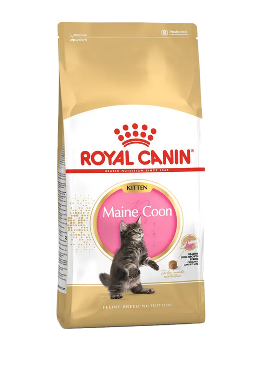 Royal Canin Maine Coon Kitten Cat Food