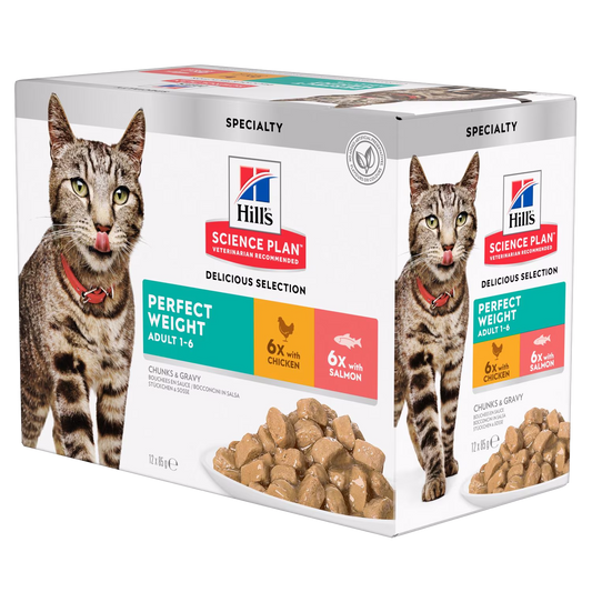 Hills Science Plan cat food packaging with a cat on a white background